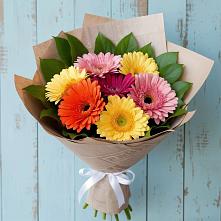Букет цветов из:  Герберы в Новой Чигле