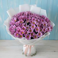 Букет цветов из:  Хризантемы в Новой Чигле
