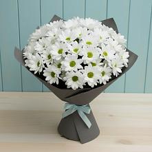 Букет цветов из:  Хризантемы в Новой Чигле