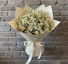 Букет цветов из:  Ромашки в Новой Чигле