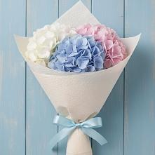 Букет цветов из:  Гортензия в Новой Чигле