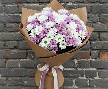 Букет цветов из:  Хризантемы в Новой Чигле