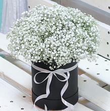 Цветочная композиция из Гипсофила в шляпной коробке в Новой Чигле