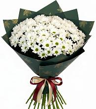 Букет цветов из:  Хризантемы в Новой Чигле