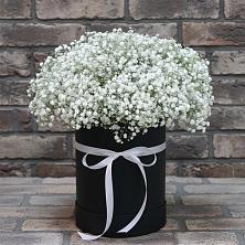 Цветочная композиция из Гипсофила в шляпной коробке в Новой Чигле
