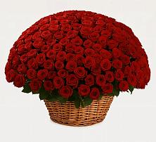 Премиум букет из: Розы в Новой Чигле