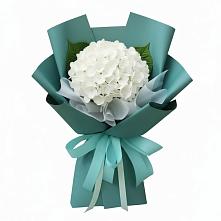 Букет цветов из:  Гортензия в Новой Чигле
